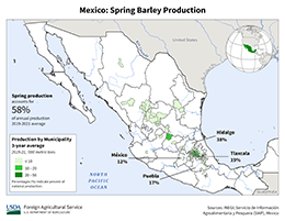 images\MX\seasonalmap\Mexico_Spring_Barley_preview.png